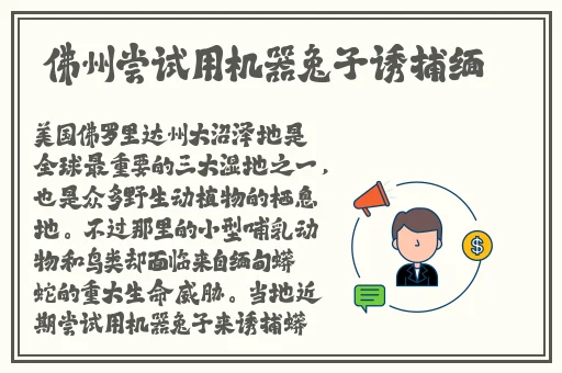 俄罗期浓**BBX㐅X